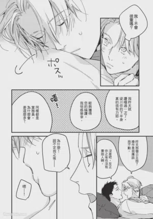 第228頁圖