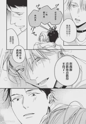 第238頁圖