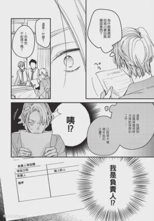 第28頁圖