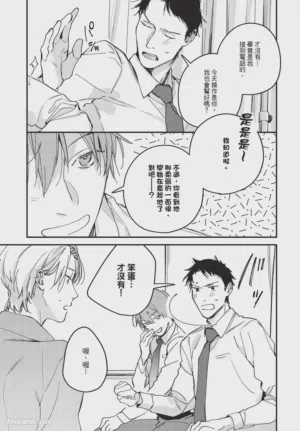第31頁圖