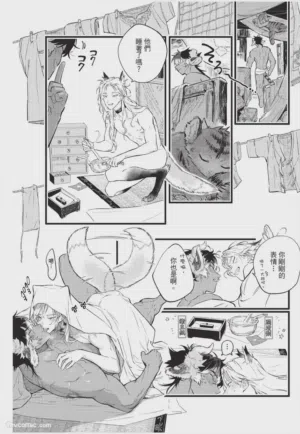 第151頁圖