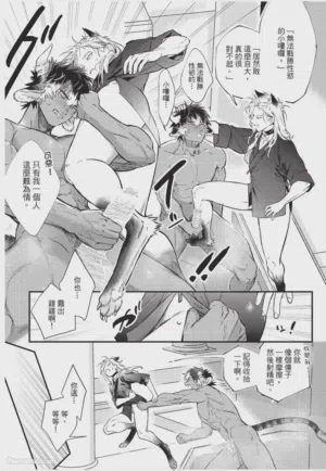 第29頁圖