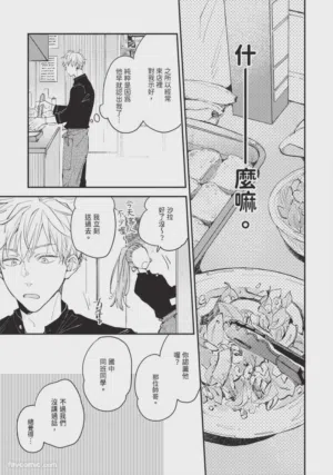 第20頁圖