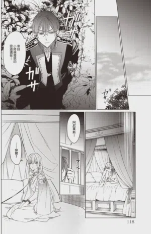 第119頁圖