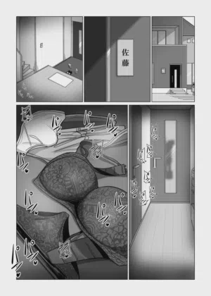 第3页图
