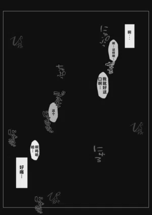 第113頁圖