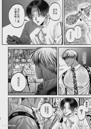 第29頁圖