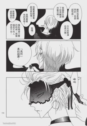 第115頁圖