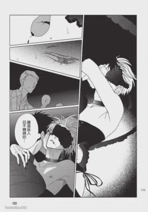 第116頁圖