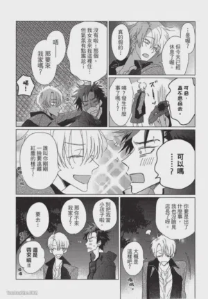 第13頁圖