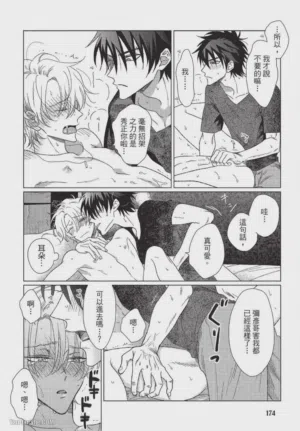第175頁圖