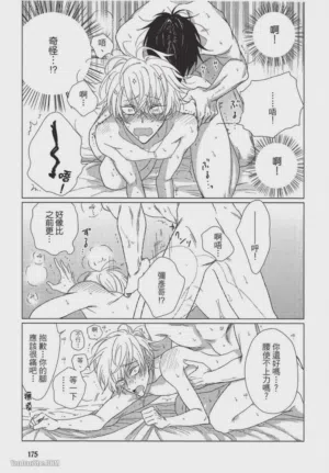第176頁圖