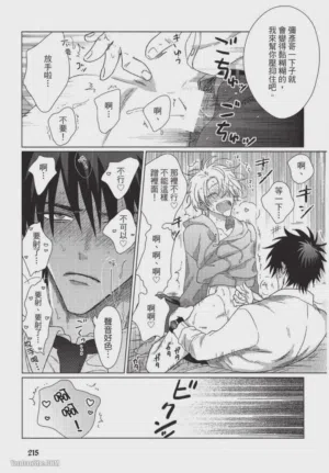 第216頁圖