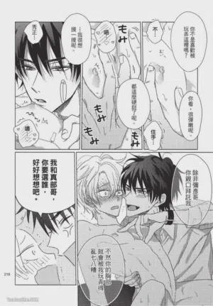 第219頁圖