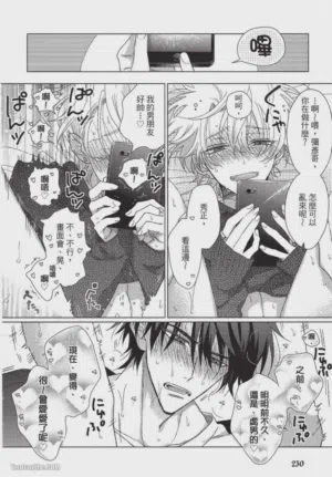 第231頁圖
