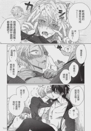 第233頁圖