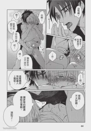 第65頁圖