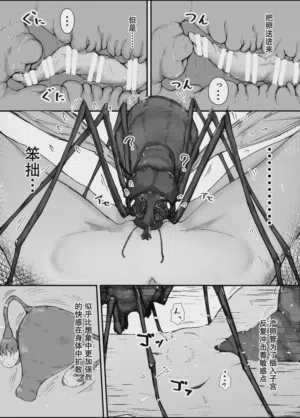 第4页图