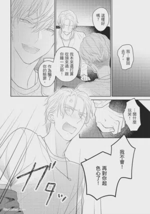 第21頁圖