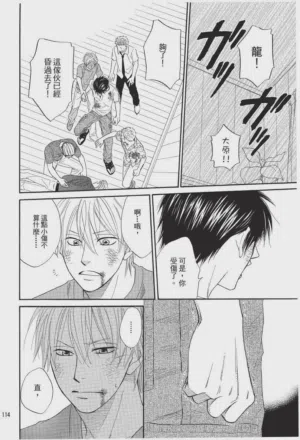 第114頁圖