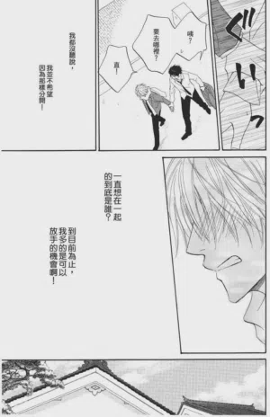 第41頁圖