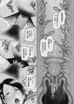 第41頁圖