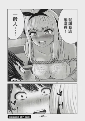 第67頁圖