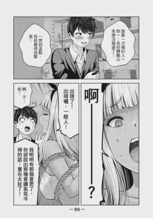 第87頁圖