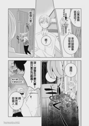 第140頁圖