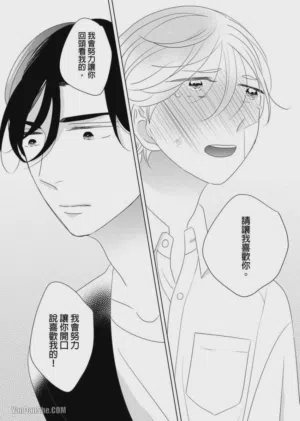 第146頁圖