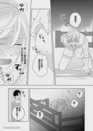 第42頁圖