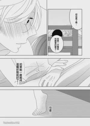 第81頁圖