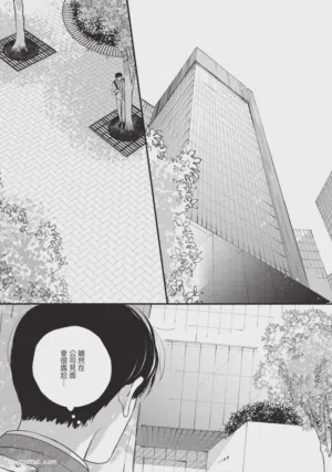 第53頁圖
