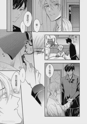 第228頁圖