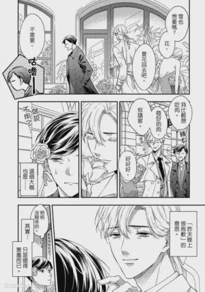第241頁圖