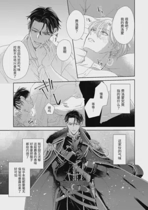第29頁圖