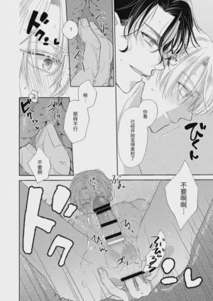 第42頁圖