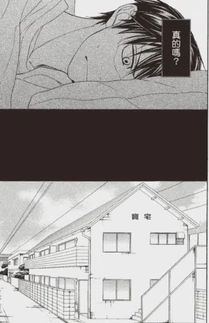第81頁圖