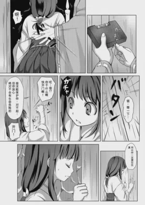 第11页图
