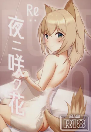 第2頁圖