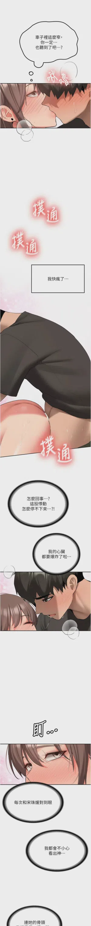 第528页图