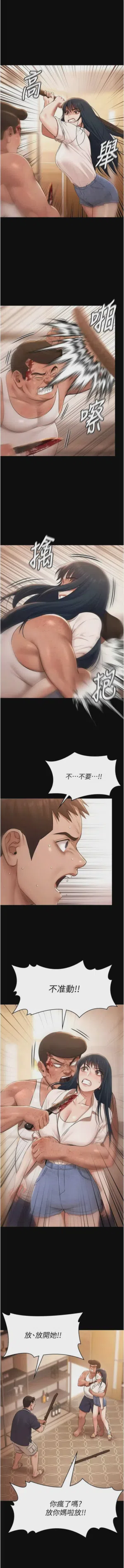 第493頁圖