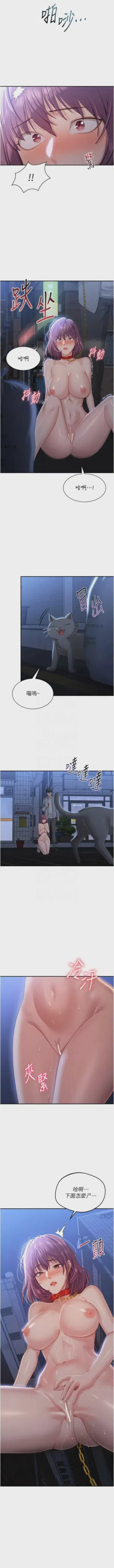 第335頁圖