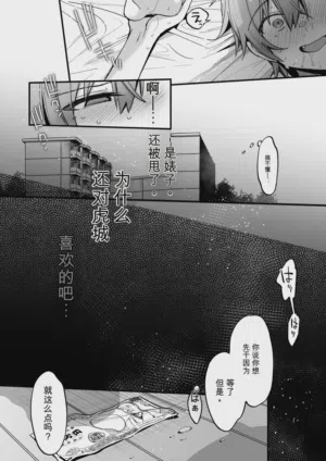 第455页图