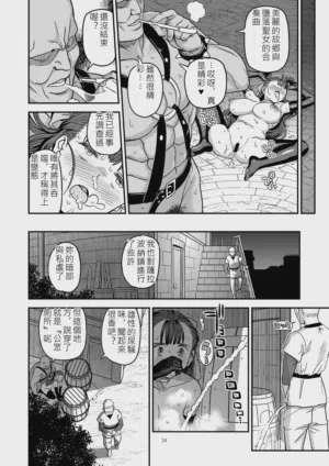 第33页图