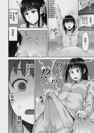 第4页图
