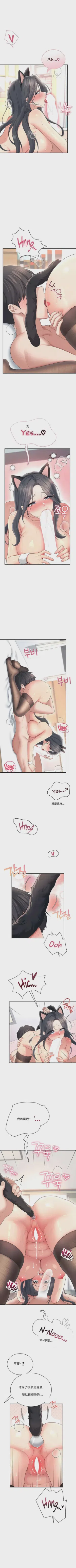 第231頁圖