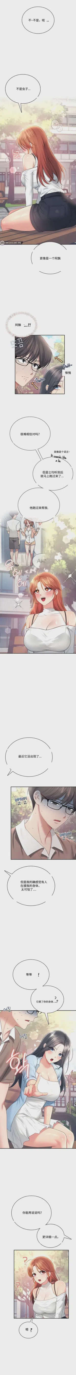 第251頁圖