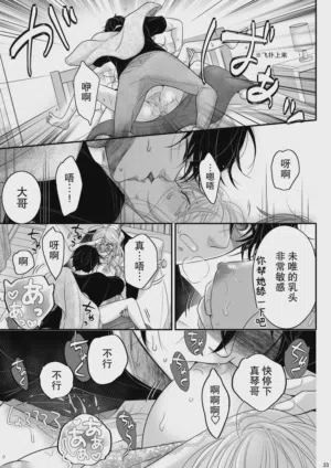 第33页图