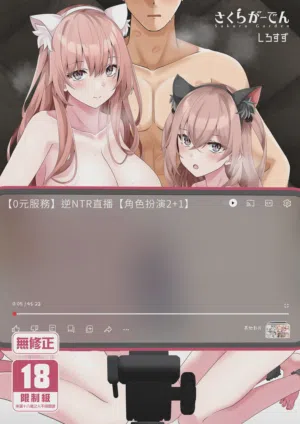 第1页图